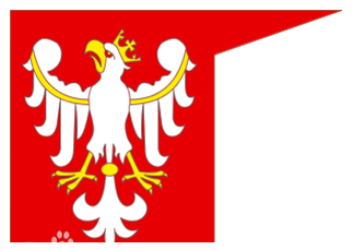 立陶宛大公国/波兰王国